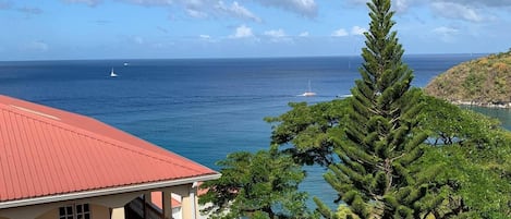Vistes costaneres amb un edifici que destaca per un teulat vermell i un balcó, amb vista al mar, vaixells i un arbre conífer alt al primer pla.