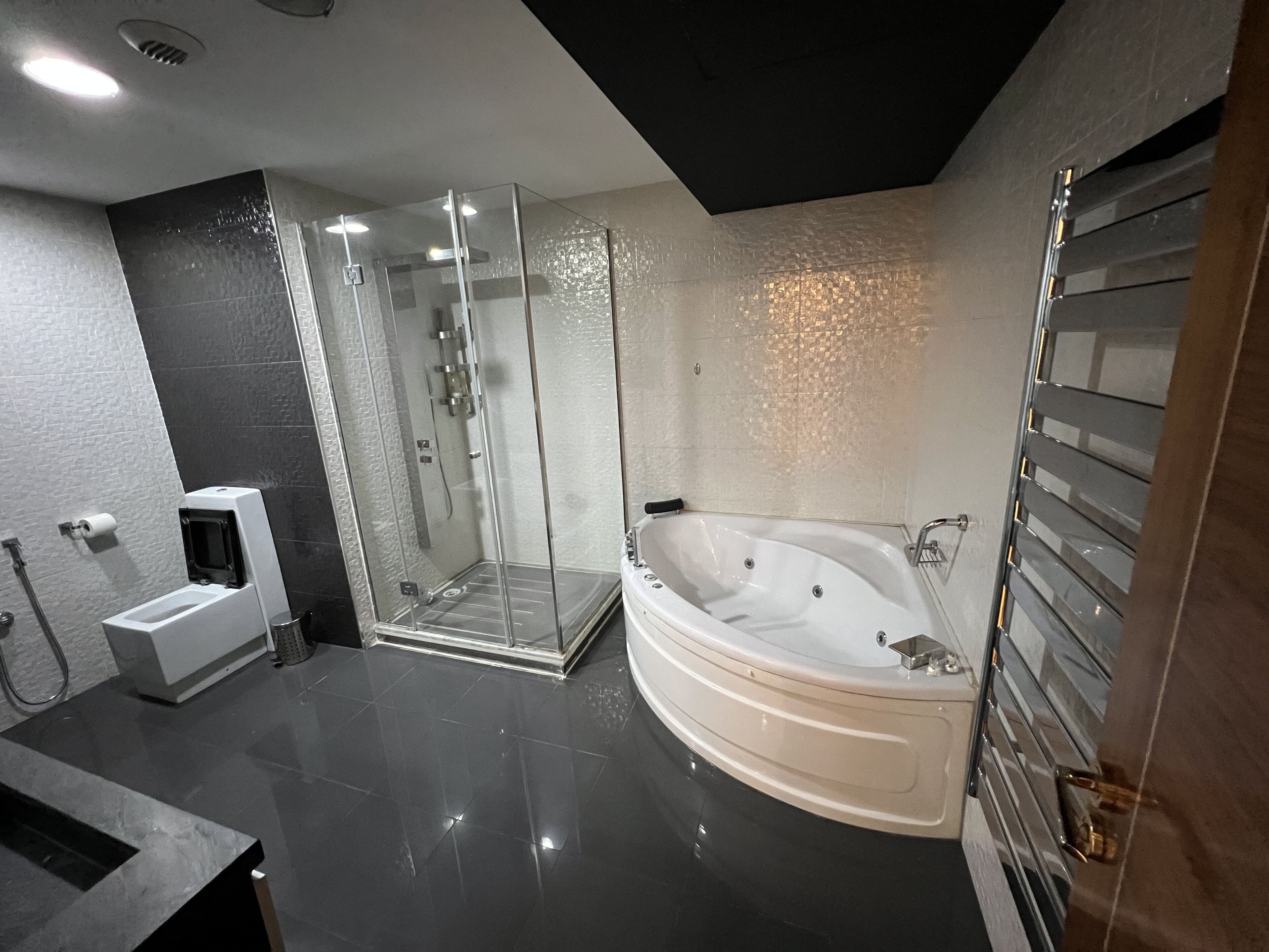 Shower, hair dryer, bidet, towels