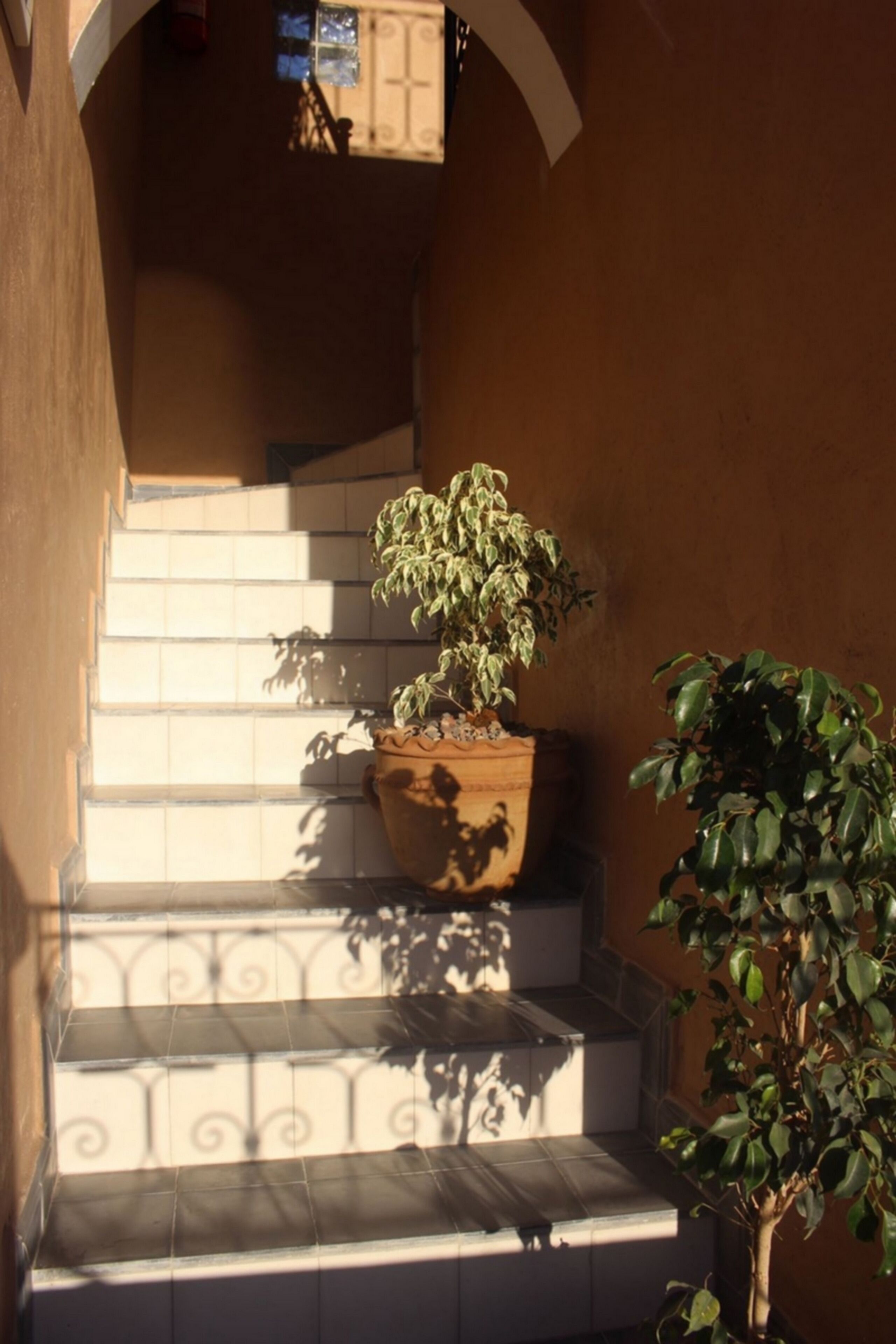 Una escalera con una planta en el descansillo.