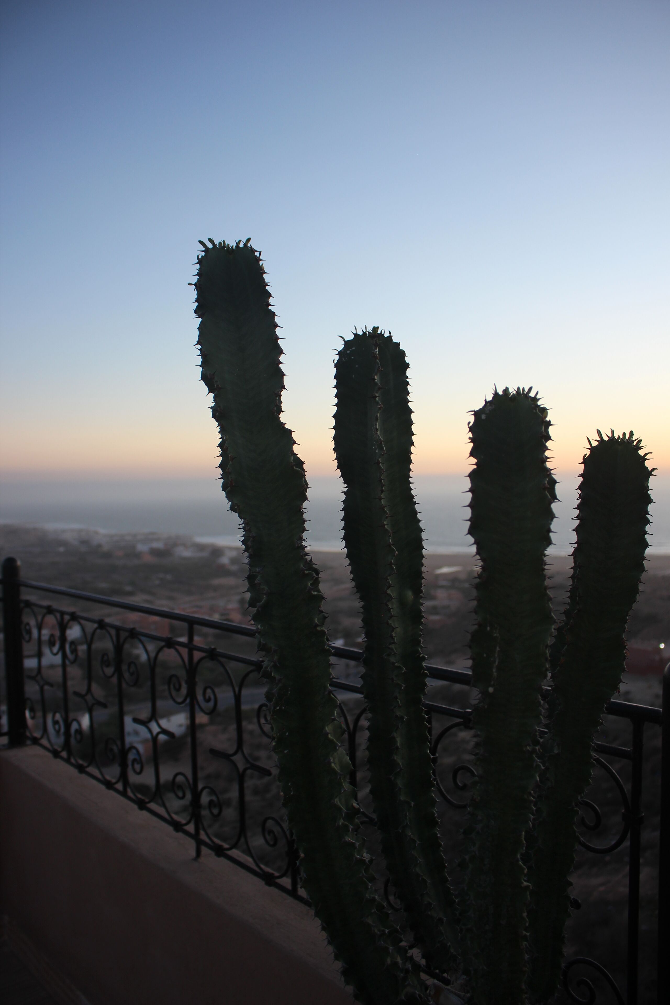 Teras/patio