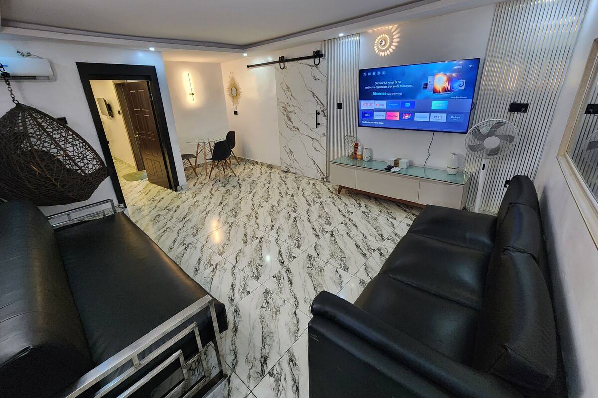 65-inch Smart TV with satellite channels, DVD player