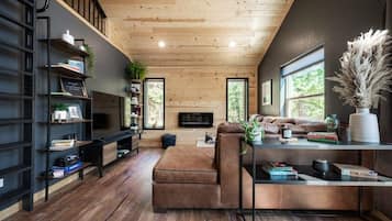 Télévision, cheminée, espaces bureaux