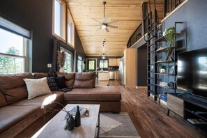 Télévision, cheminée, espaces bureaux