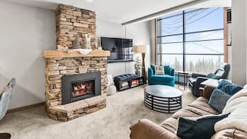 Télévision, cheminée, lecteur de DVD, espaces bureaux