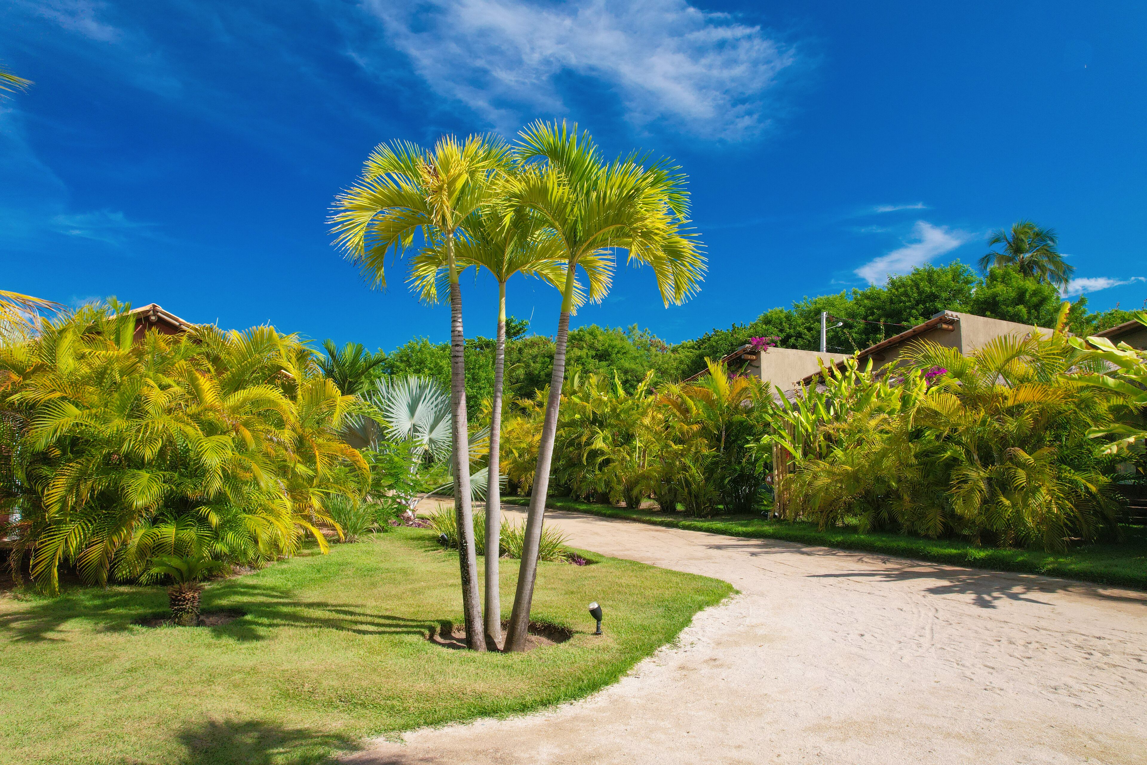 تفاصيل الفندق من الداخل