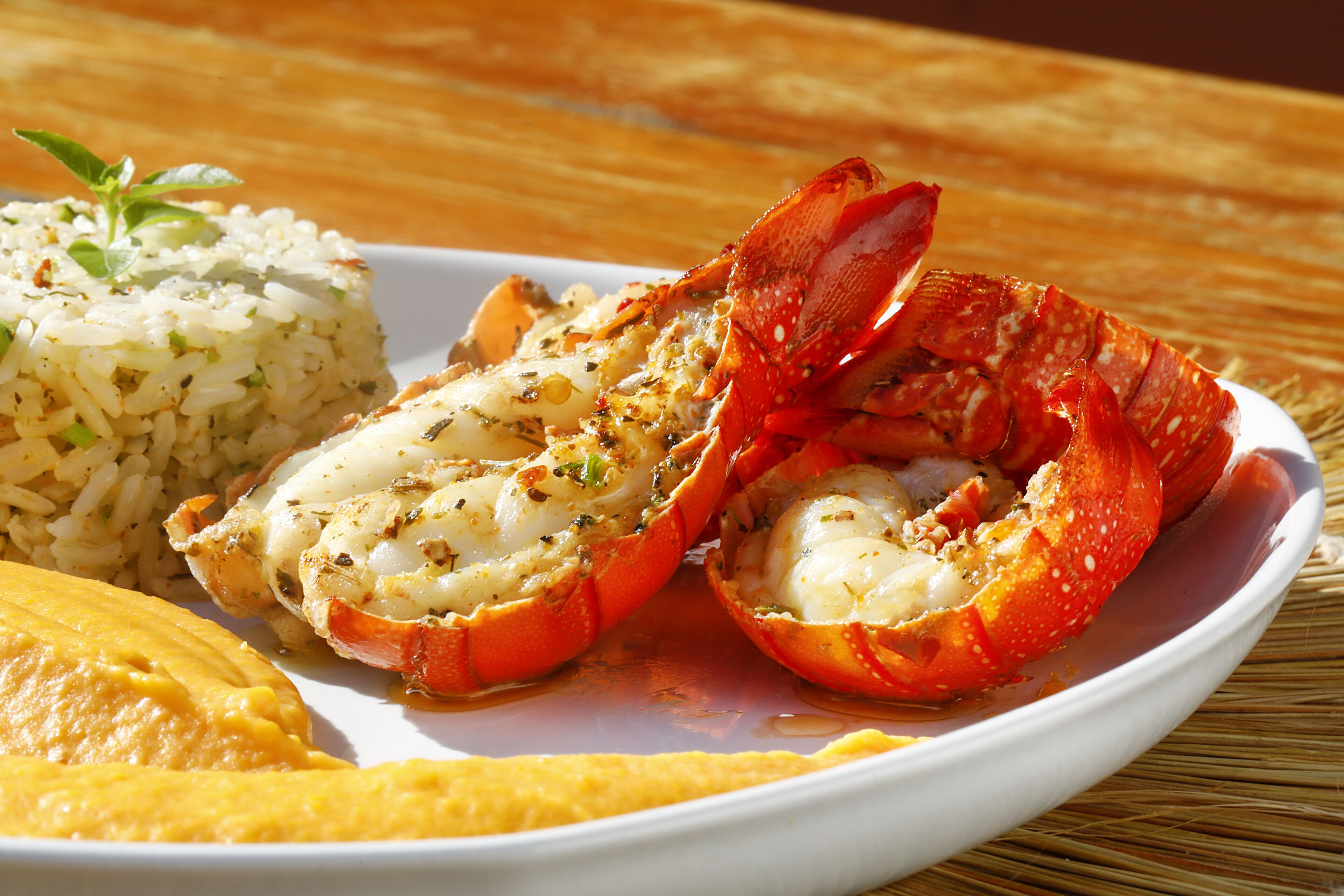 A plate with a lobster tail, rice, and a slice of bread.