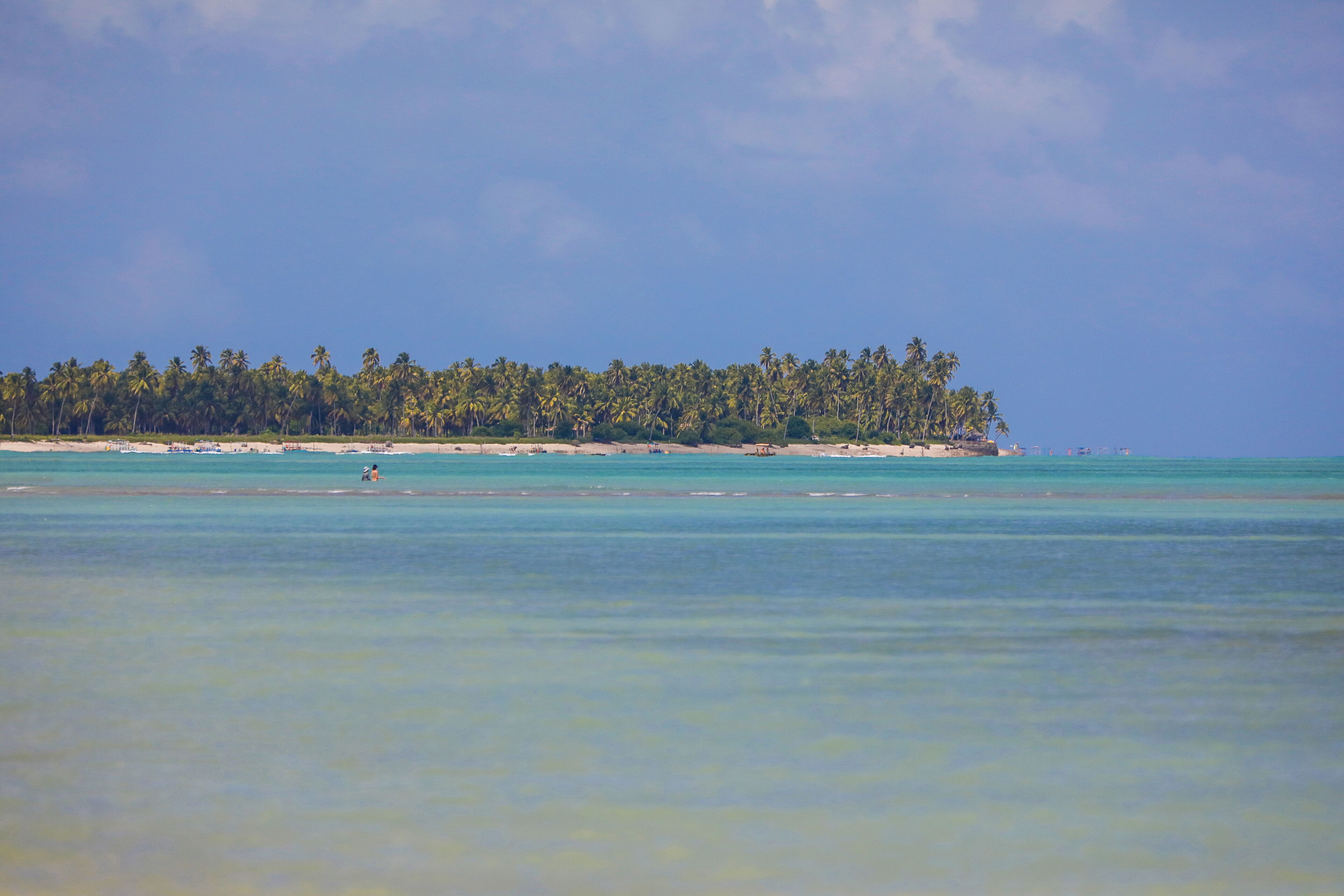 A tropical island with a beach and palm trees.
