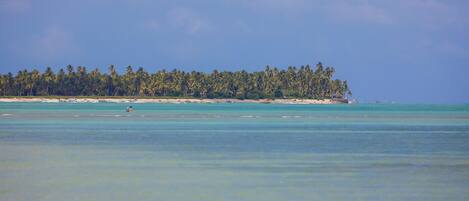 A tropical island with a beach and palm trees.