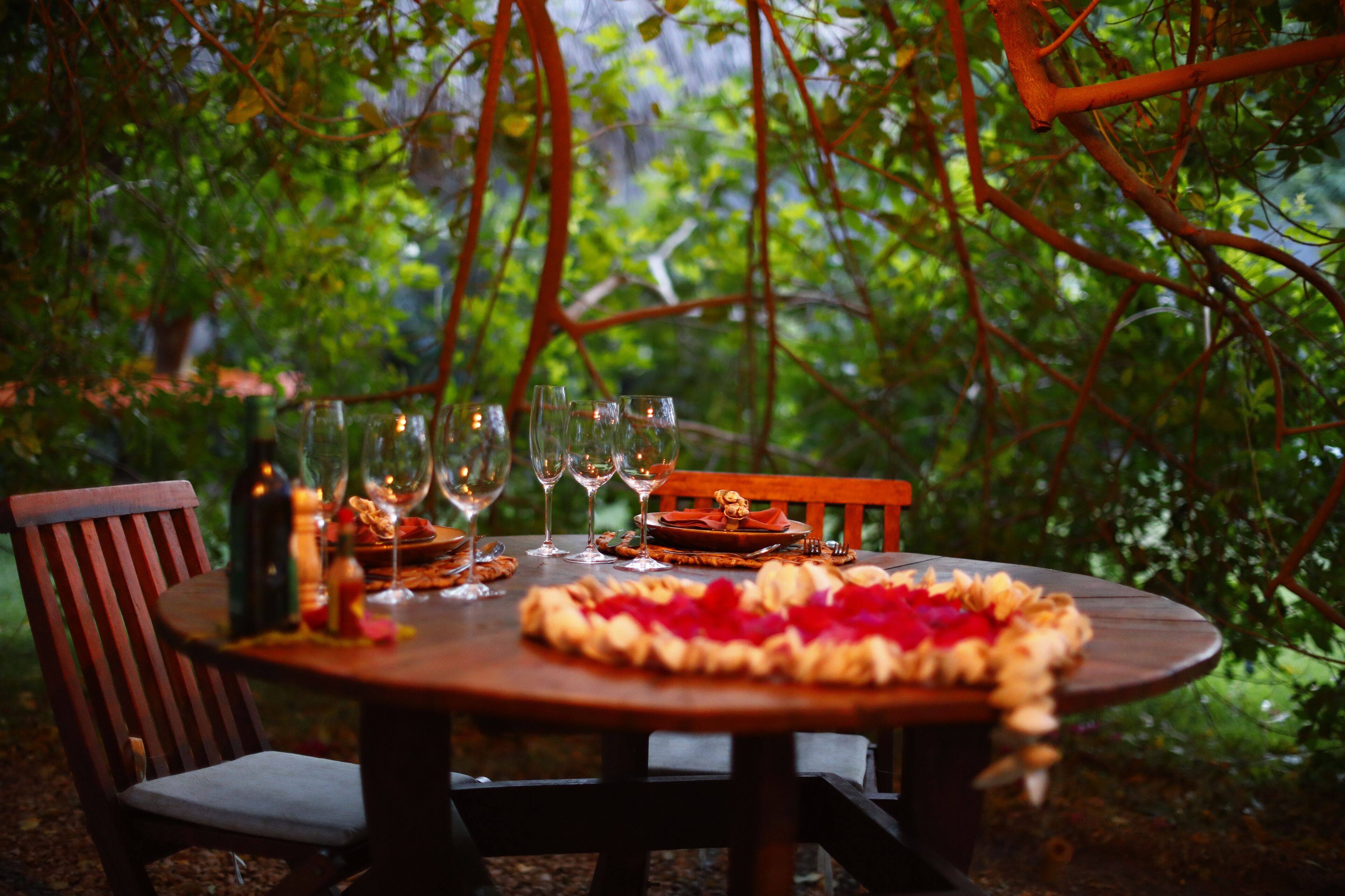 An outdoor dining table set with wine glasses, a bottle, and a plate of food, surrounded by lush greenery.