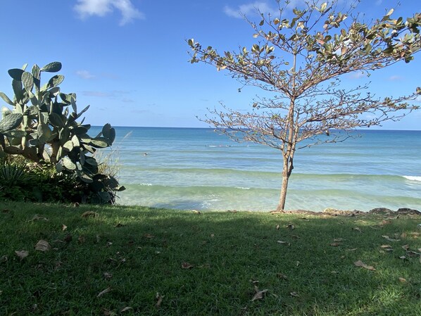 Beach - Anchor Villa , 4 bedroom single family home
Steps to the beach . (Oistins)