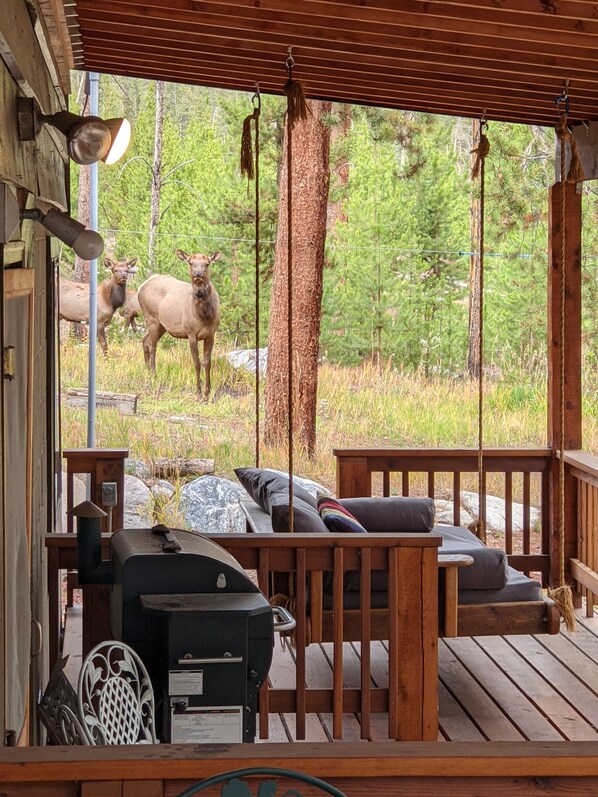 Property grounds - Grand Lake Retreat. Spacious cabin on 4 acres. Close to Rocky MTN Nat'l Park. (Grand Lake)