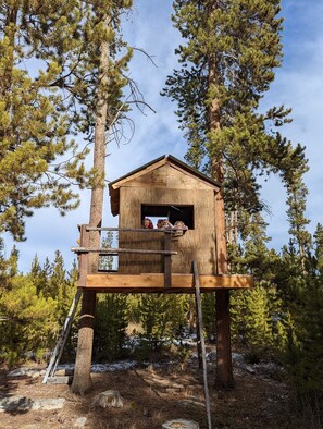 Exterior - Grand Lake Retreat.  Spacious cabin on 4 acres.  Close to Rocky MTN Nat'l Park. (Grand Lake)