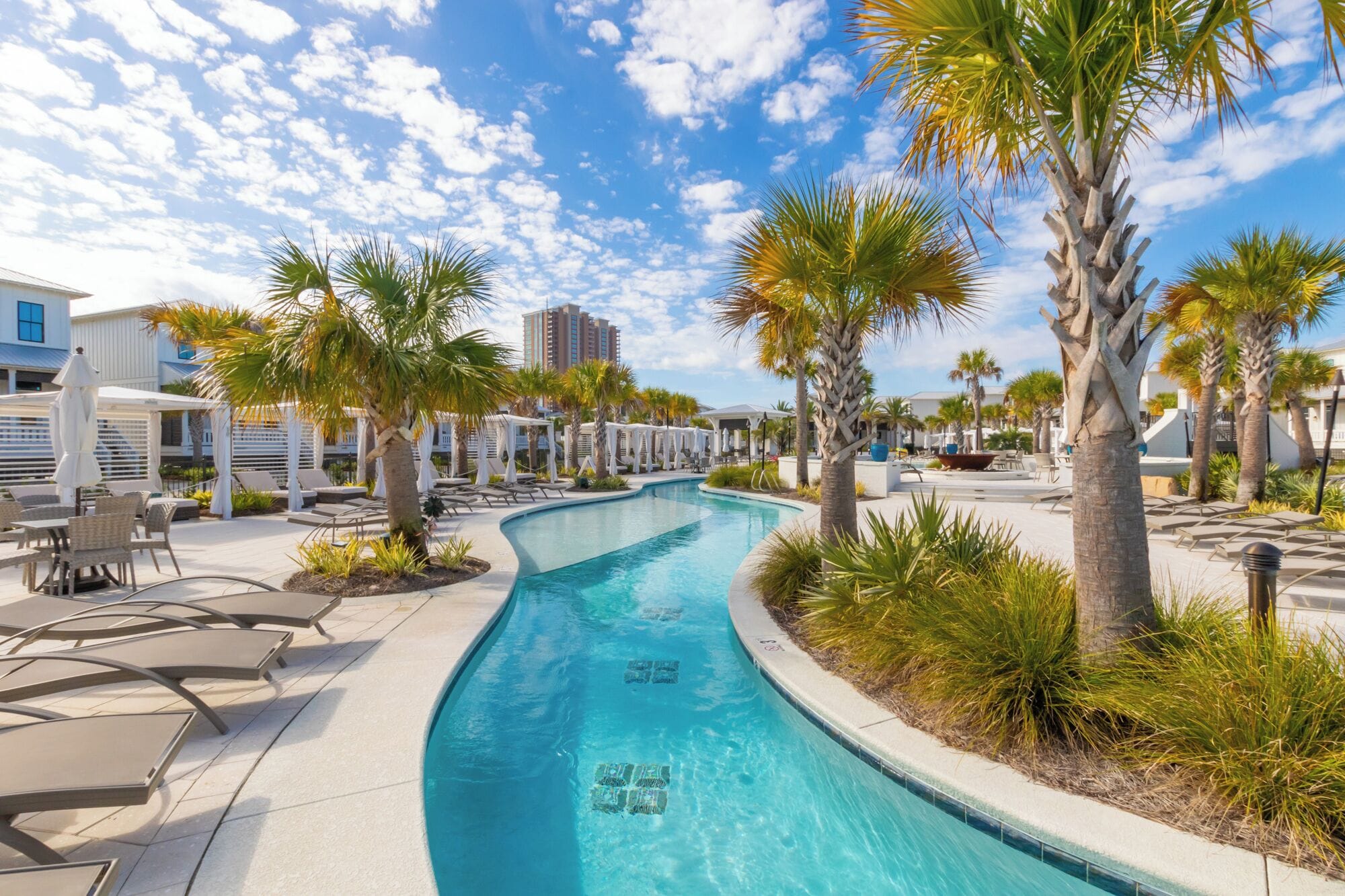 A swimming pool with a curved design, surrounded by lounge chairs and palm trees.