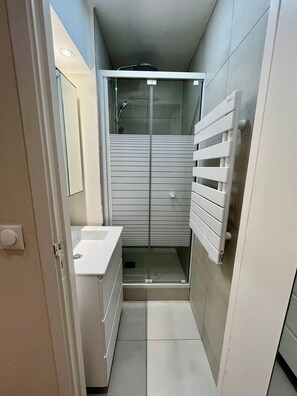 Hair dryer, towels, soap, toilet paper - Parisian Duplex With Panoramic View (Paris)