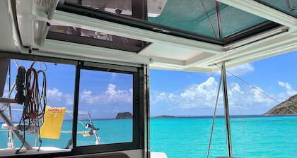 Your half-day cruise