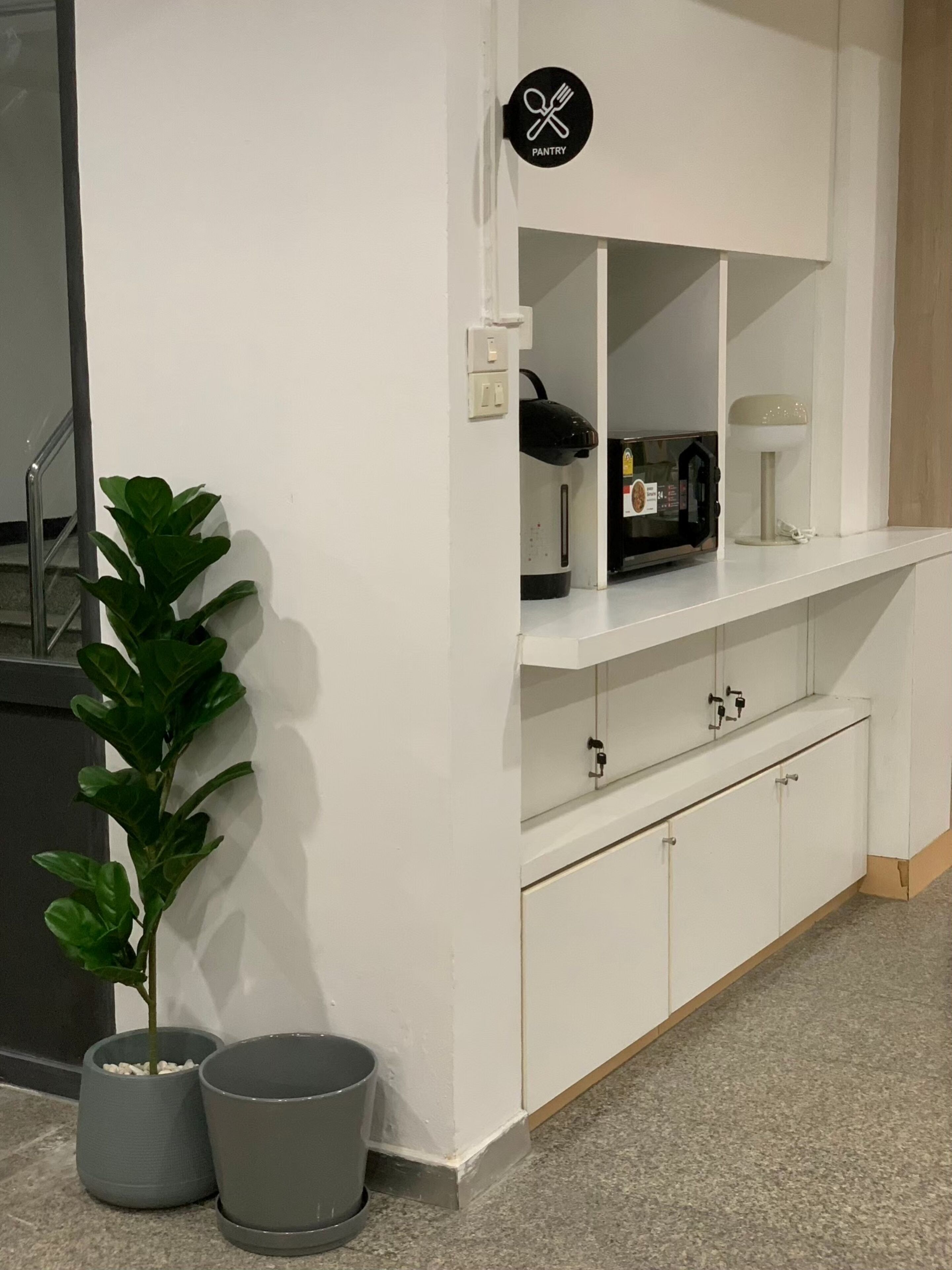 A white kitchen with a microwave, a coffee maker, and a plant.