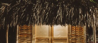 Magic Greeen Tayrona