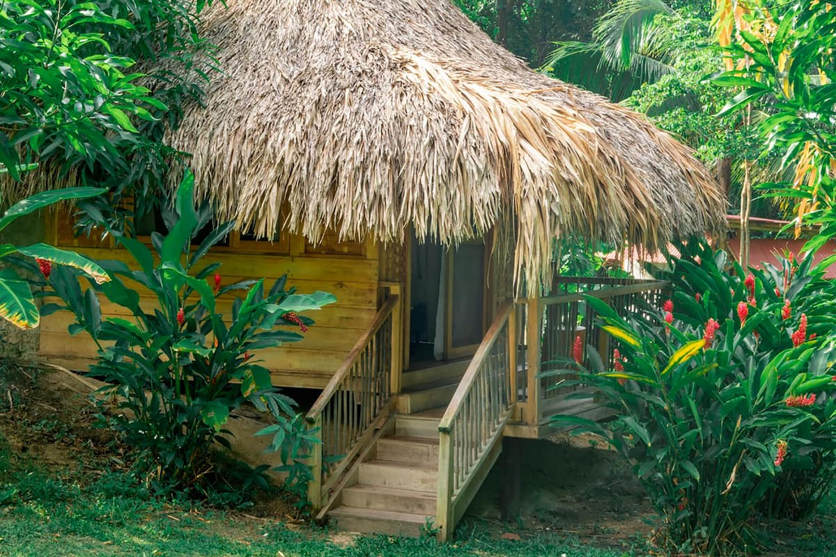Superior Cabin, 1 Double Bed, Non Smoking, Mountain View