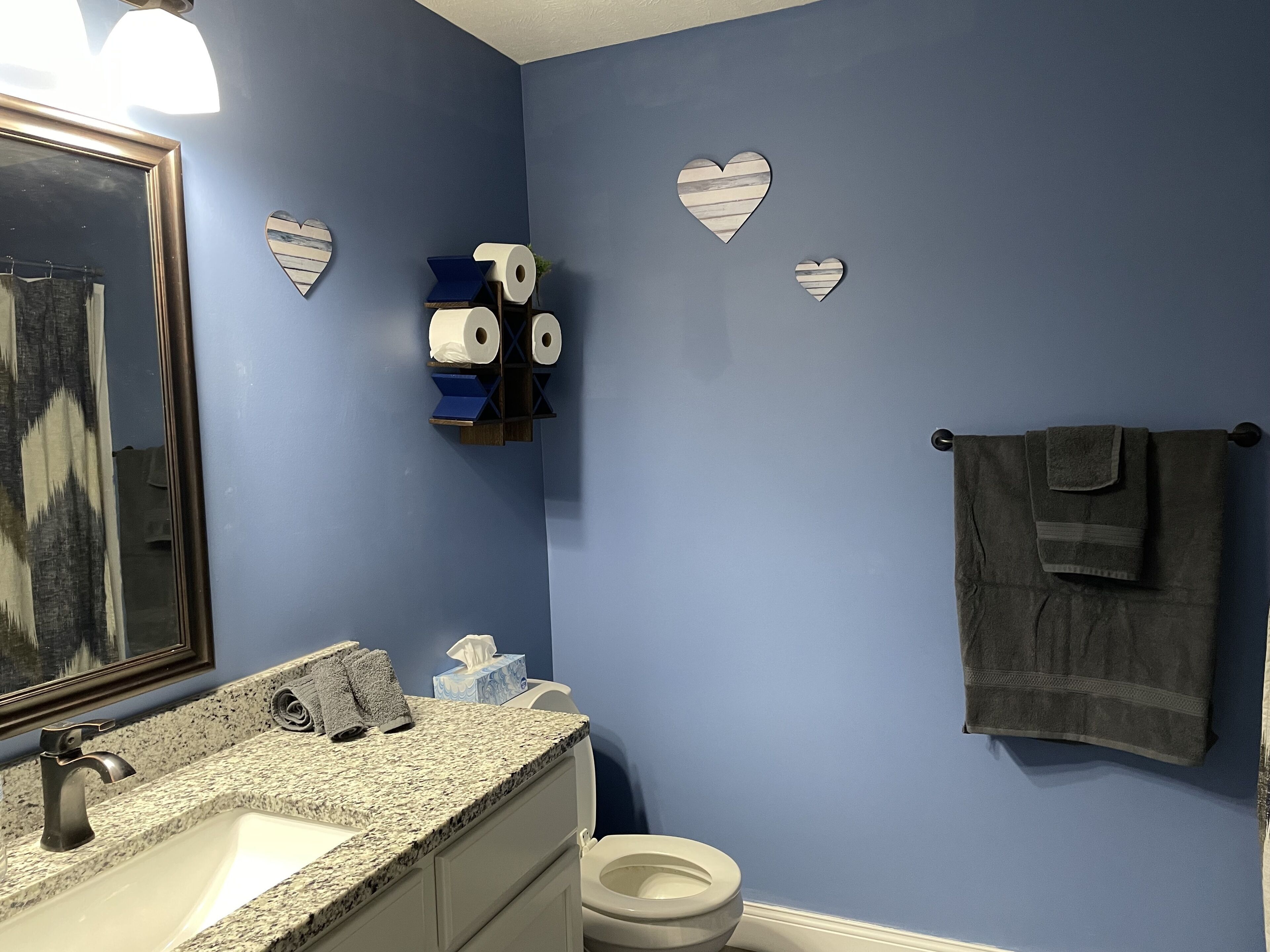 Shower, towels, shampoo, toilet paper