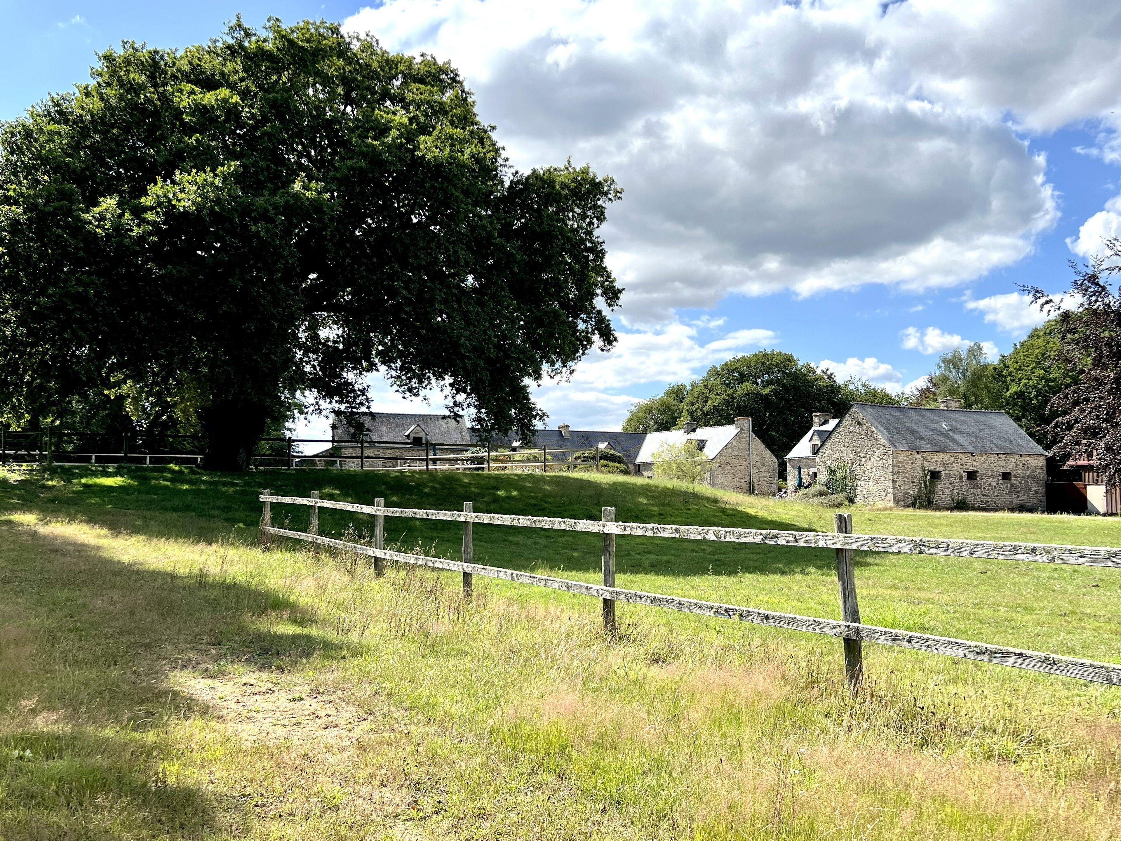 Un paysage rural avec des bâtiments en pierre, un grand arbre et une zone délimitée par une clôture.