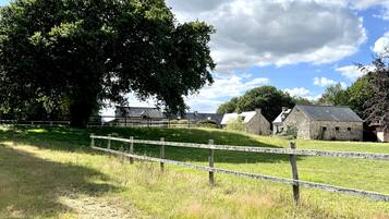 Un paysage rural avec des bâtiments en pierre, un grand arbre et une zone délimitée par une clôture.