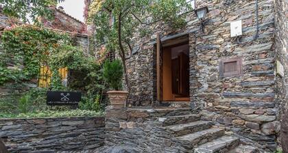 El Mirador de las Jaras