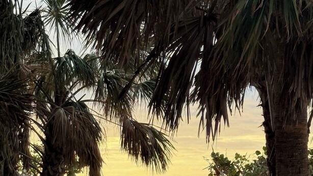 A sandy beach path leading to the sea with a boat in the distance. - LJ's Cottages 3 - BALCONY BEACH POOL SAND SUNSETS (Sarasota)