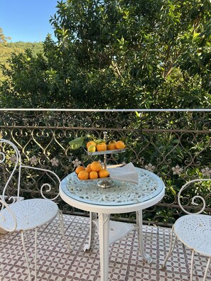 Outdoor dining - Welcome to Villa Rosa, a historic renovated home  ~in an ancient spa village   (Monchique)