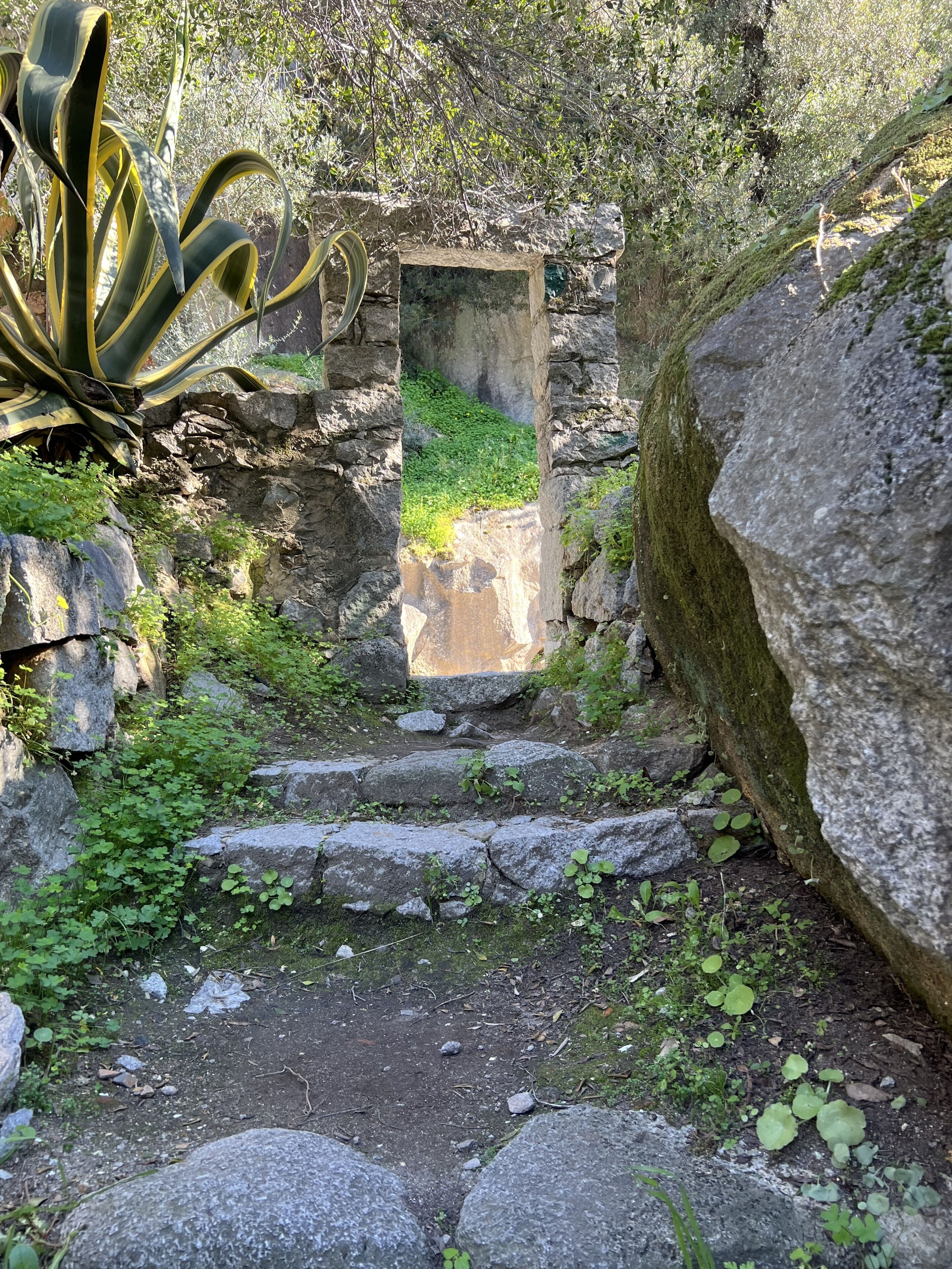 Parco della struttura