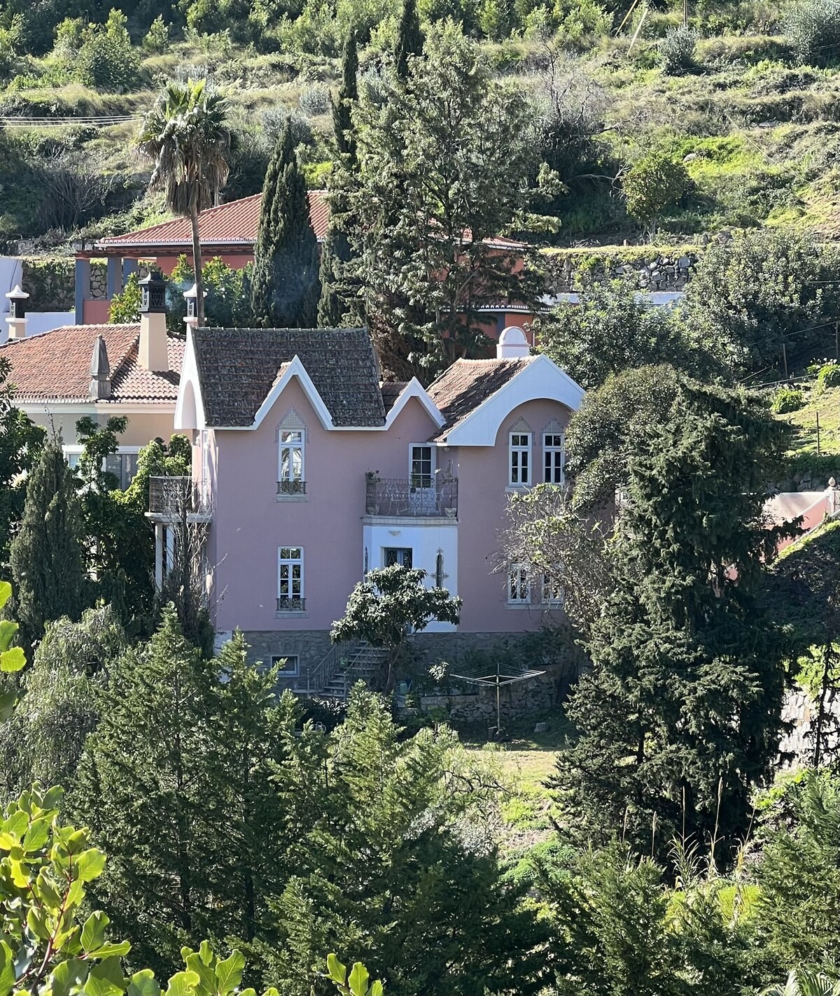 Image de profil de l’hôte