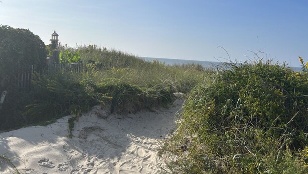 Nær stranden