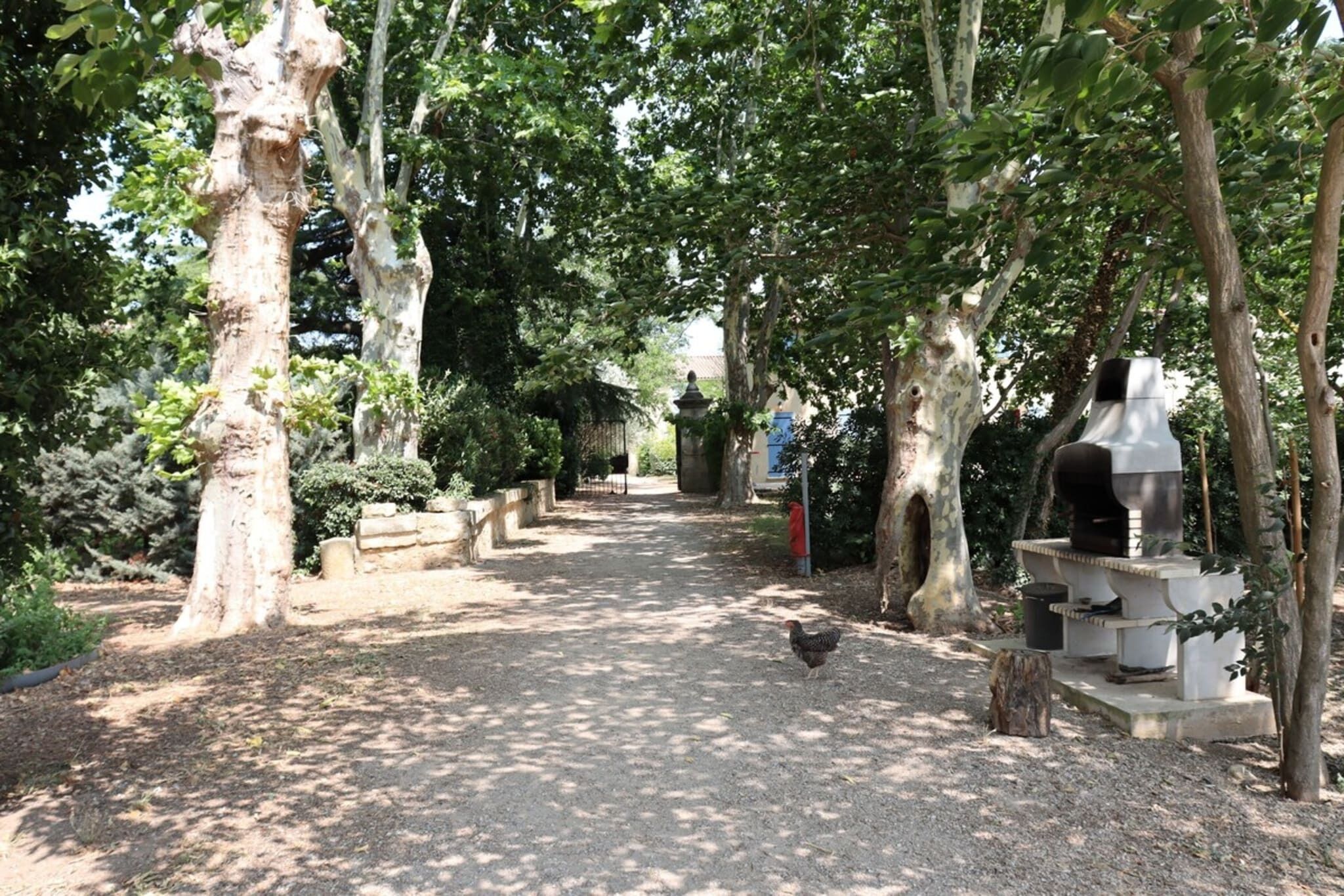 Terrein van de accommodatie