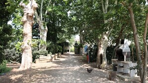 A garden pathway lined with trees and a barbecue grill.