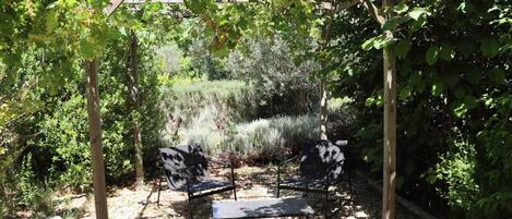 Un espacio de estar al aire libre cubierto con dos sillas y una mesa, rodeado de abundante follaje y una estructura de pérgola de madera.