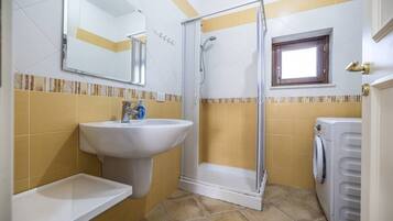 Baño con lavamanos, espejo, ducha y lavadora.