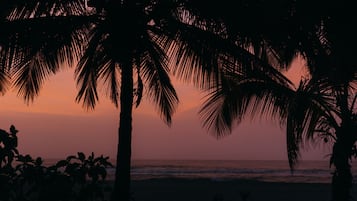 Ngoại thất