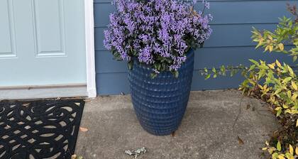 Walk to Uptown Shelby! Earl Scruggs Center and Don Gibson Theatre! Lovely!