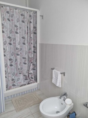 Shower, hair dryer, bidet, towels