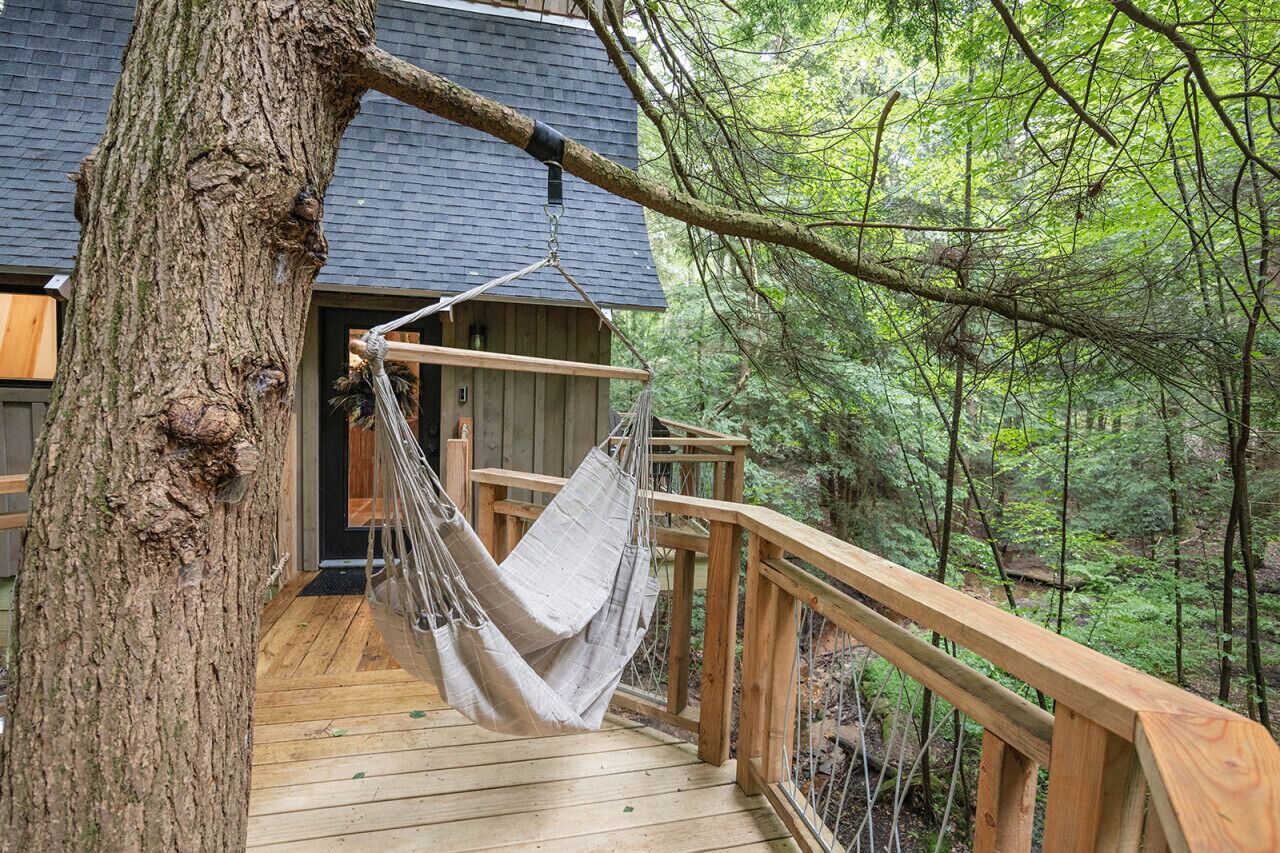 Une terrasse en bois avec un hamac, un chalet en bois et un paysage boisé en arrière-plan.