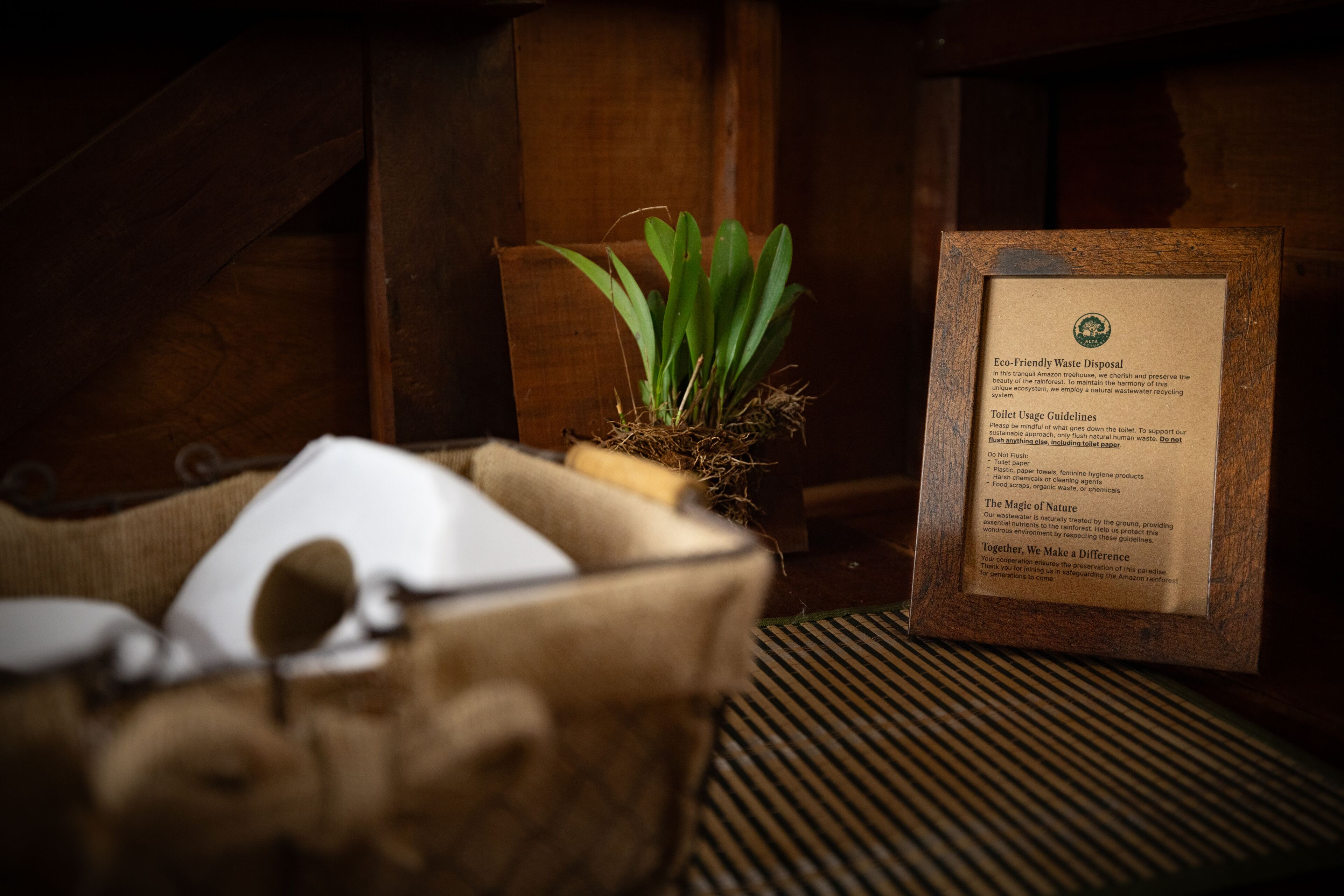 Casa de árbol de lujo | Baño | Regadera, regadera tipo lluvia, bidet, toallas 