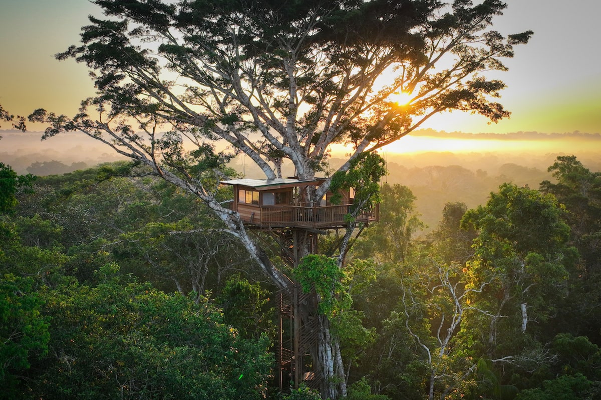 A treehouse with a wooden platform and a small cabin structure, surrounded by dense forest.