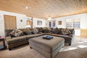 Smart TV, fireplace, DVD player, video library