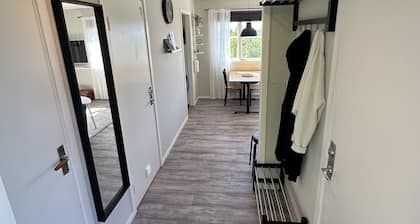Modern Cabin