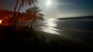Une scène de plage avec des palmiers et un soleil éclatant se reflétant sur l’eau.