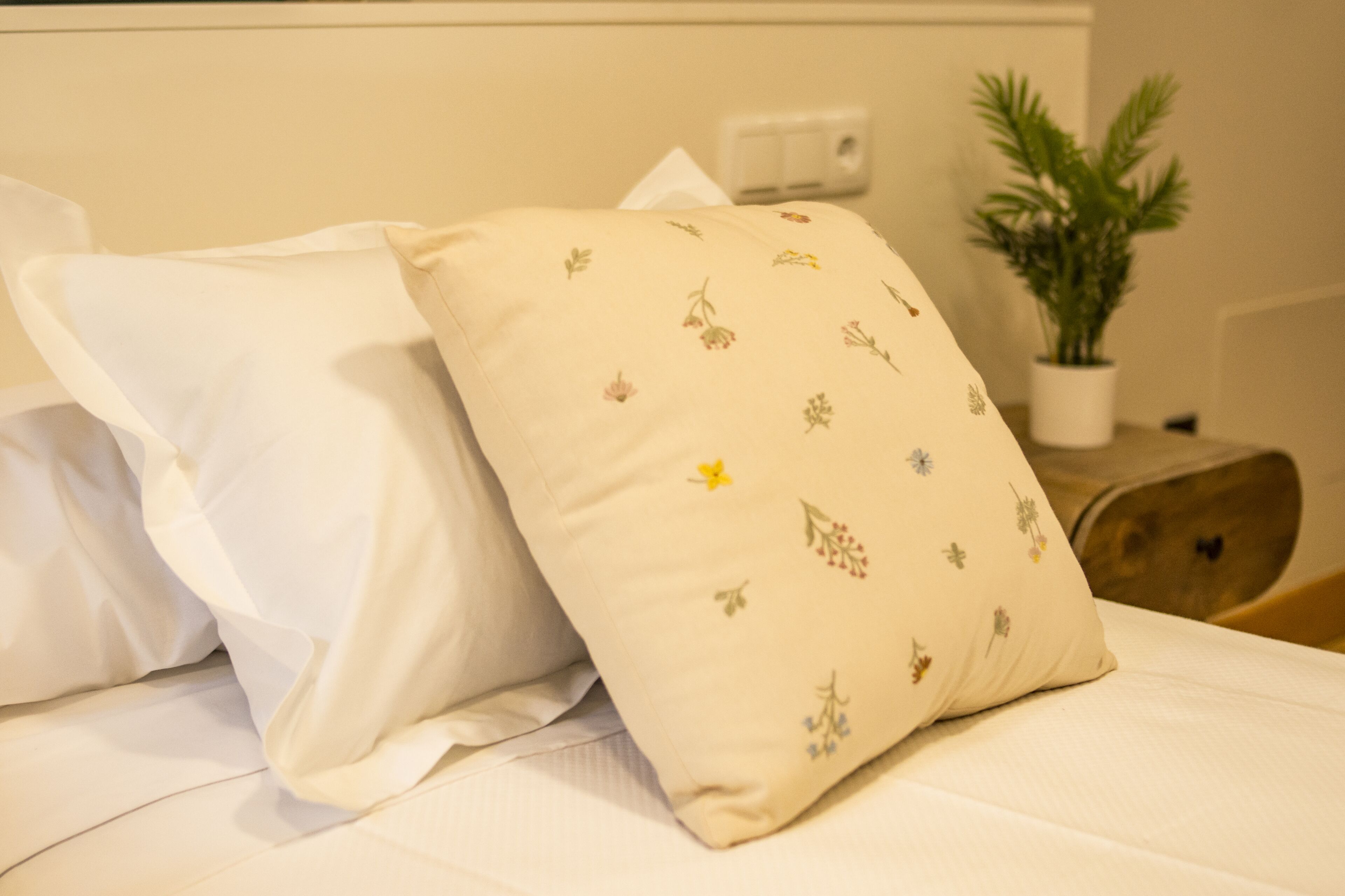 Foto - hostal Nomade Santiago