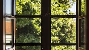 A dark wooden door with a large window divided into four panes, offering a view of lush green trees outside. - NÓMADE SANTIAGO (Santiago de Compostela)