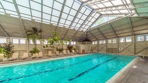 Piscina interior con carriles delimitados, rodeada de sillones de descanso y plantas en macetas.