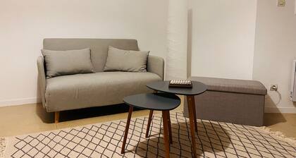 Large appartement in Toulouse