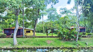 A tranquil garden with a pond, surrounded by lush greenery and two yellow buildings with red accents. - Beautiful cabin nestled in tropical surroundings on the Banks of the Sitee River (Hopkins)