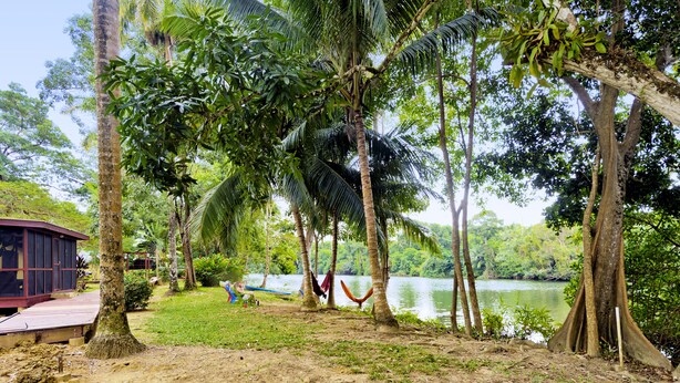 Un paisaje tropical con un río, palmeras y un pequeño edificio de techo curvo.
